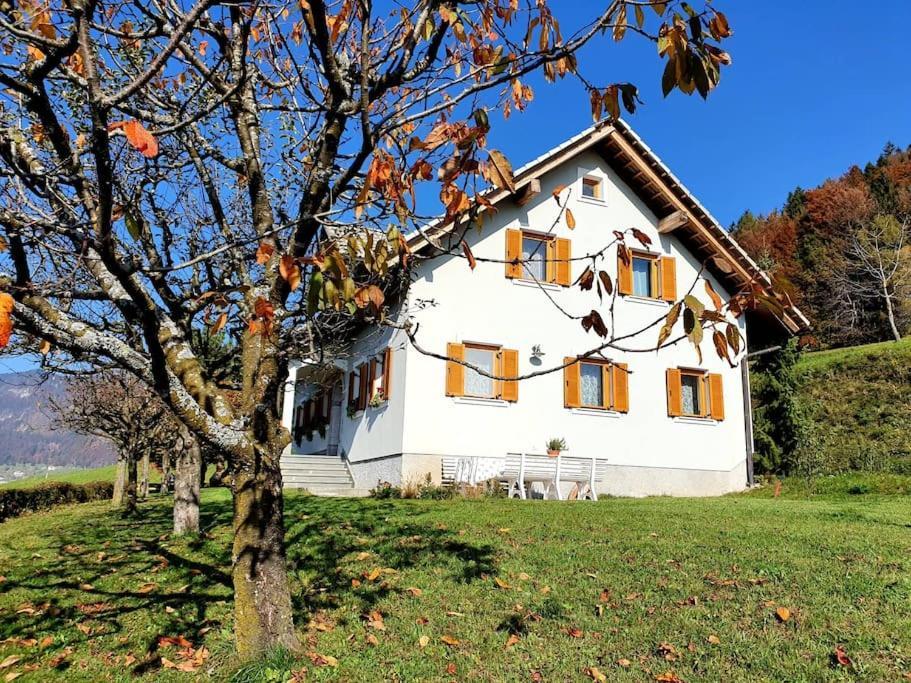 House Pucnk-Beautiful Countryside Villa Zelezniki Ngoại thất bức ảnh